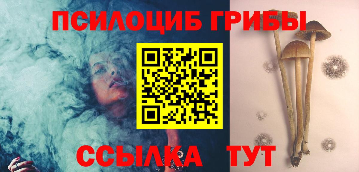 Галлюциногенные грибы Psilocybe  Вход с VPN  Салехард 