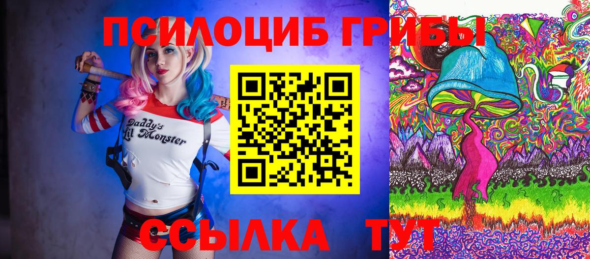 Псилоцибиновые грибы GOLDEN TEACHER Салехард